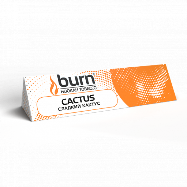 Табак BURN CACTUS 25 грамм в Иркутске