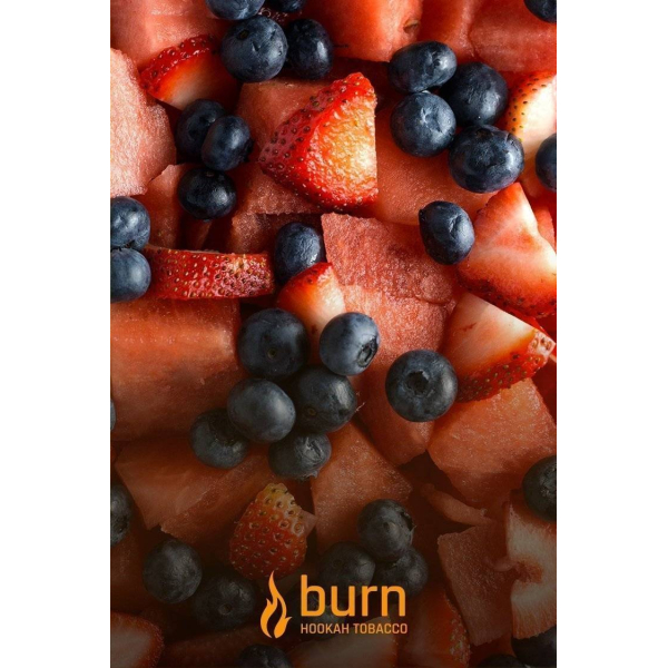 Табак Burn Berried Treasure 100 грамм в Иркутске