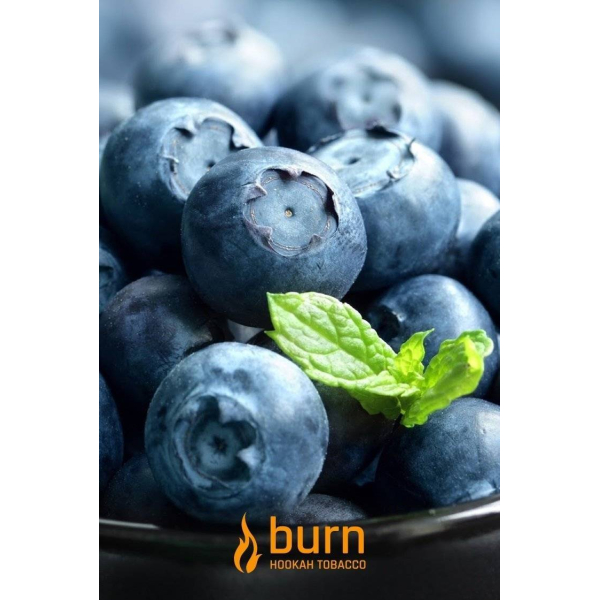 Табак Burn Blueberry Mint 100 грамм в Иркутске