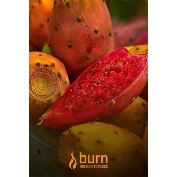 Табак Burn Cactus 100 грамм в Иркутске
