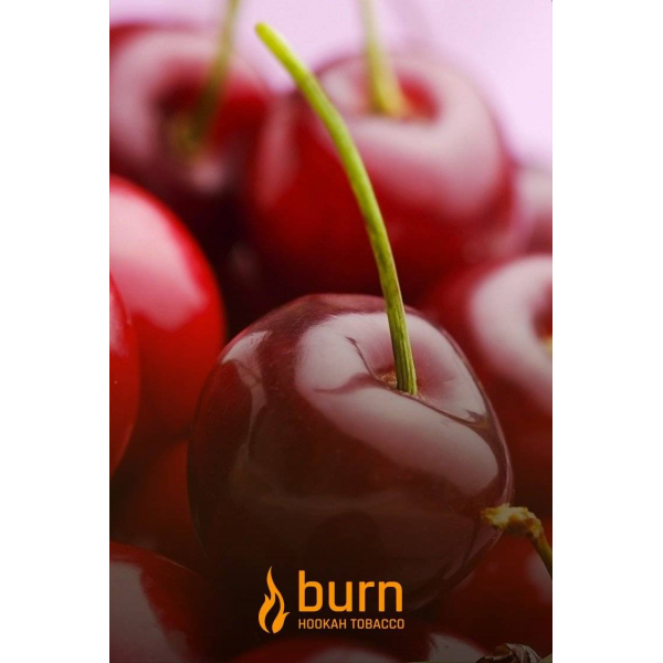 Табак Burn Candy Cherry 100 грамм в Иркутске