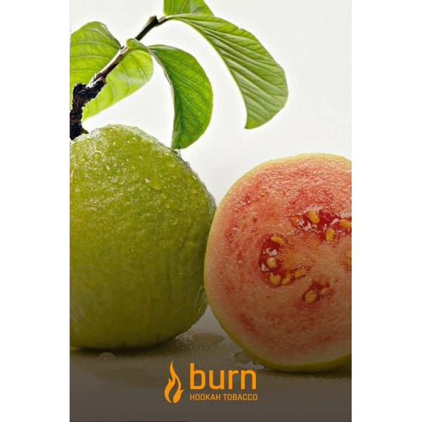 Табак Burn Guava 100 грамм в Иркутске