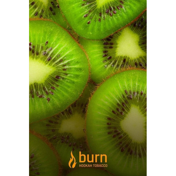 Табак Burn Kiwi 100 грамм в Иркутске