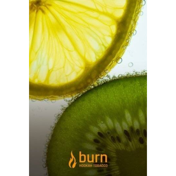Табак Burn Kiwi Lemon 100 грамм в Иркутске