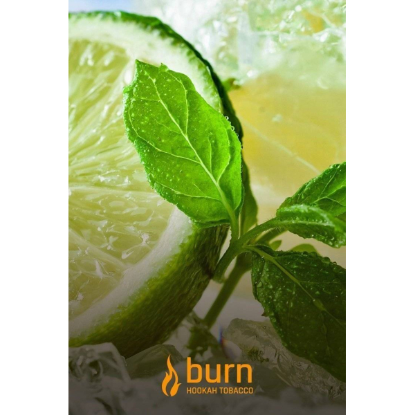 Табак Burn Lemon Mint 100 грамм в Иркутске