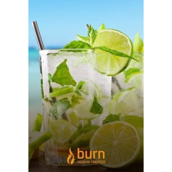 Табак Burn Mojito 100 грамм в Иркутске