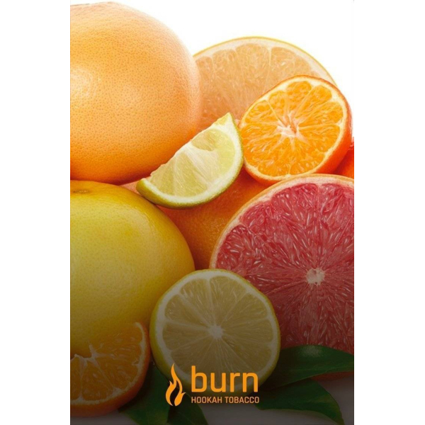 Табак Burn SundaySun 100 грамм в Иркутске