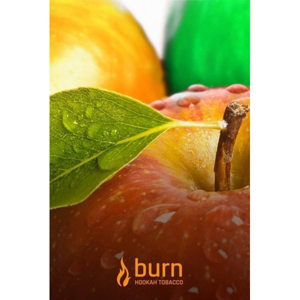 Табак Burn Three Apples 100 грамм в Иркутске