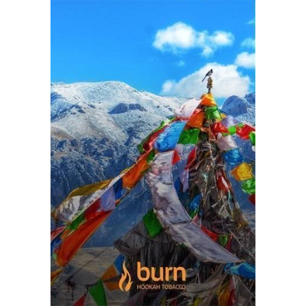 Табак Burn Tibet 100 грамм в Иркутске