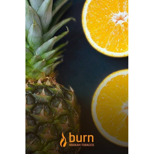 Табак Burn White Night 100 грамм в Иркутске
