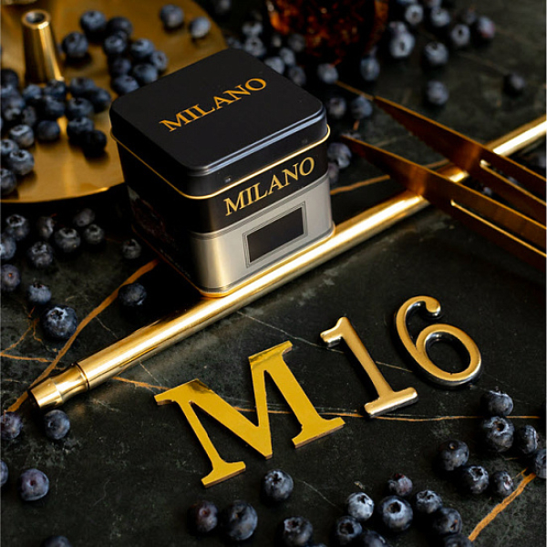 Табак MILANO GOLD М16 BILBERRY 100 гр в Иркутске