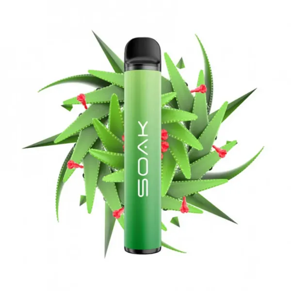 SOAK X Aloe Vera (Алое Вера), 1500 тяг в Иркутске