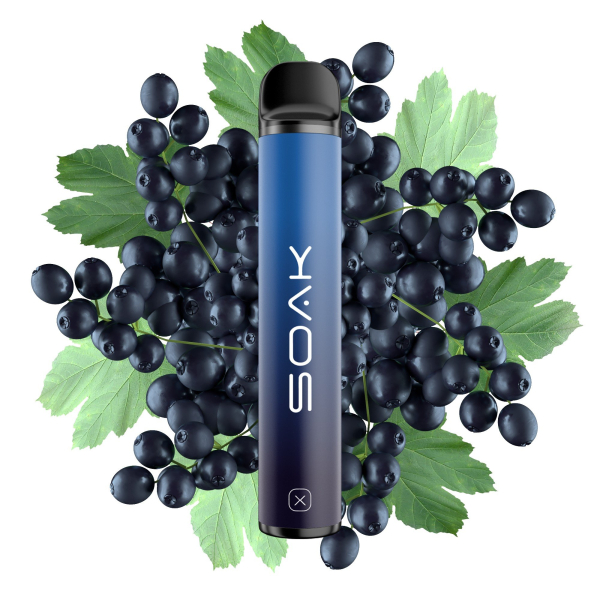 SOAK X Forest Blackcurrant (Лесная черная смородина), 1500 тяг в Иркутске