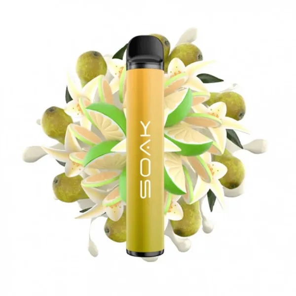 SOAK X Vanilla Pear (Ванильная груша с лаймом), 1500 тяг в Иркутске