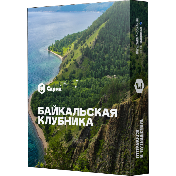 Табак Сарма Байкальская Клубника 25 гр в Иркутске