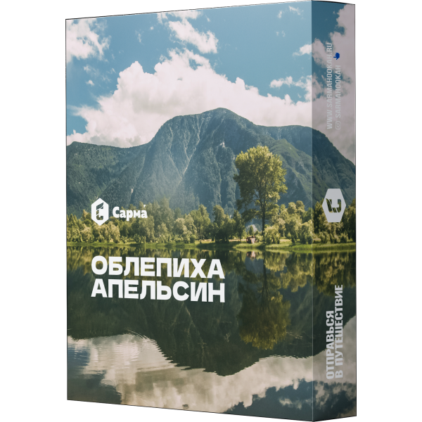 Табак Сарма Облепиха Апельсин 25 гр в Иркутске