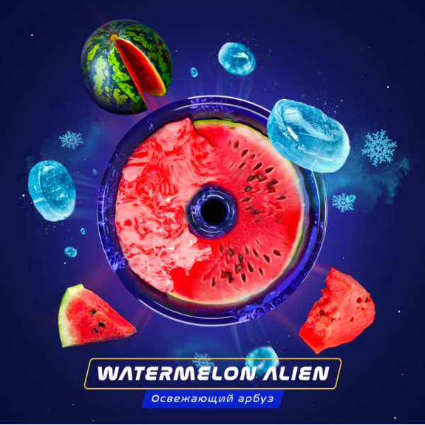 Паста Space Smoke BASIC Watermelon  Alien (Арбуз с  холодком) 125 гр в Иркутске
