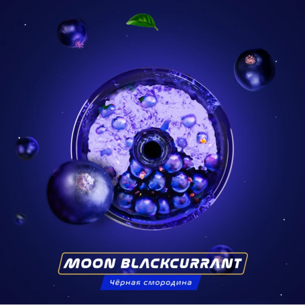 Паста Space Smoke BASIC Moon  Blackcurrant (Черная  смородина) 30 гр в Иркутске