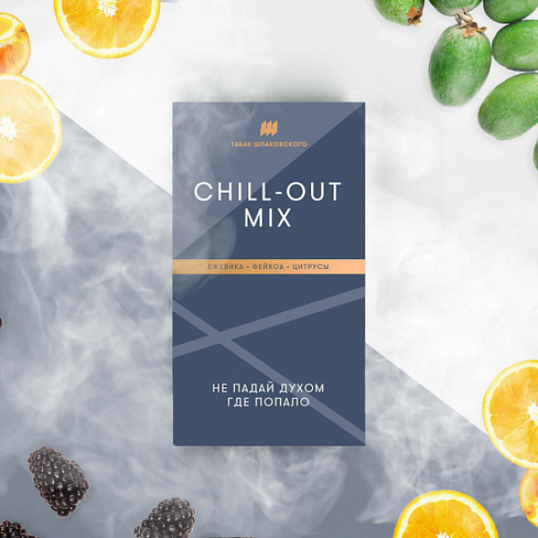 Табак Шпаковского Chill Out (Ежевика Фейхоа Цитрусы) 40 грамм в Иркутске