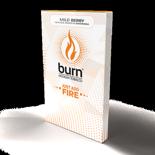 Табак Burn Mild Berry  100 грамм в Иркутске
