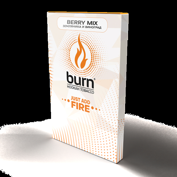 Табак Burn Berry Mix  100 грамм в Иркутске