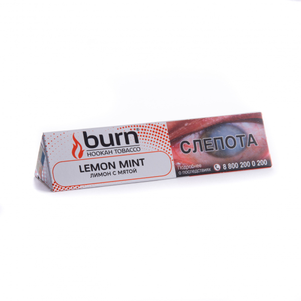Табак Burn Lemon Mint  25 грамм в Иркутске